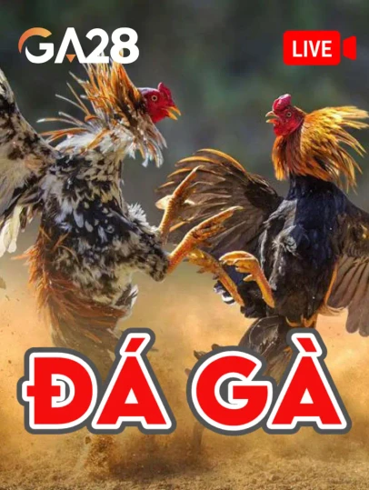 TA88 Đá Gà Livestream