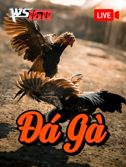 TA88 Đá Gà Livestream